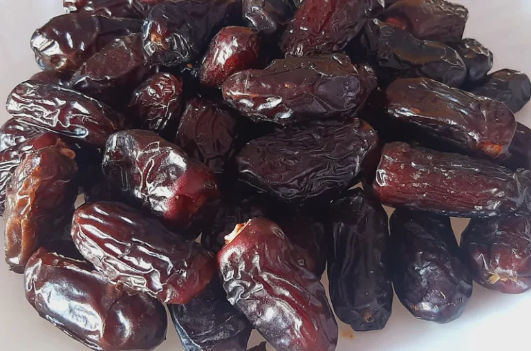 harga kurma borong 10 kg
